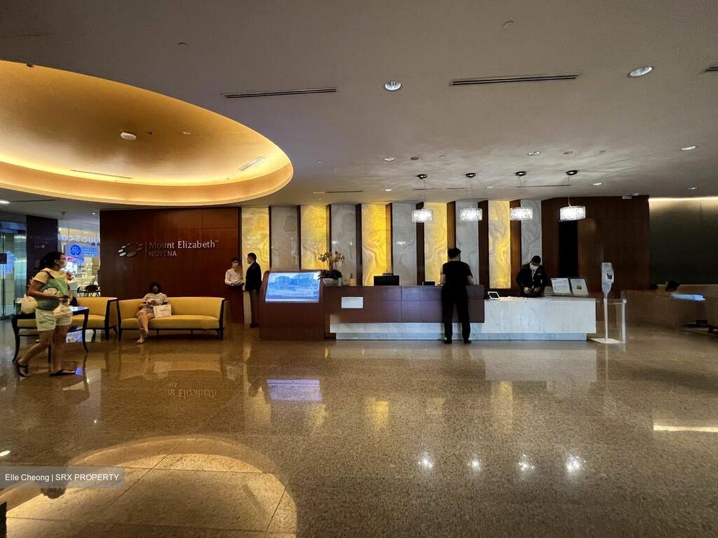 Mount Elizabeth Novena Hospital (D12), Retail #453956301
